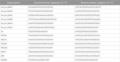Construction of a ceRNA network and screening of potential biomarkers and molecular targets in male smokers with chronic obstructive pulmonary disease